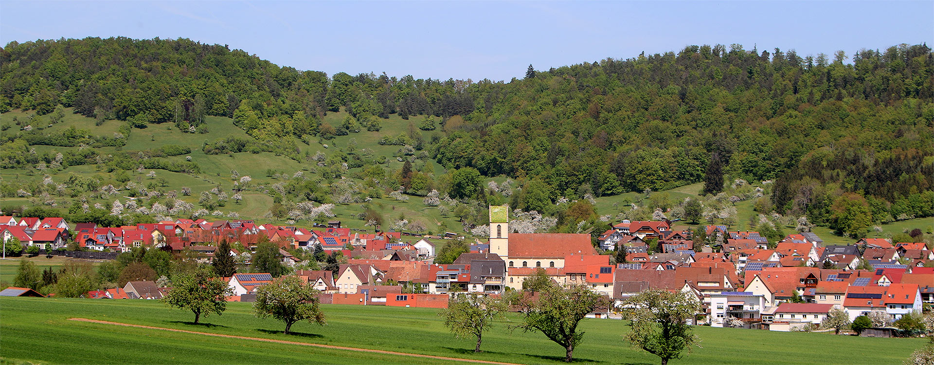 Dettingen von Hemmendorf her