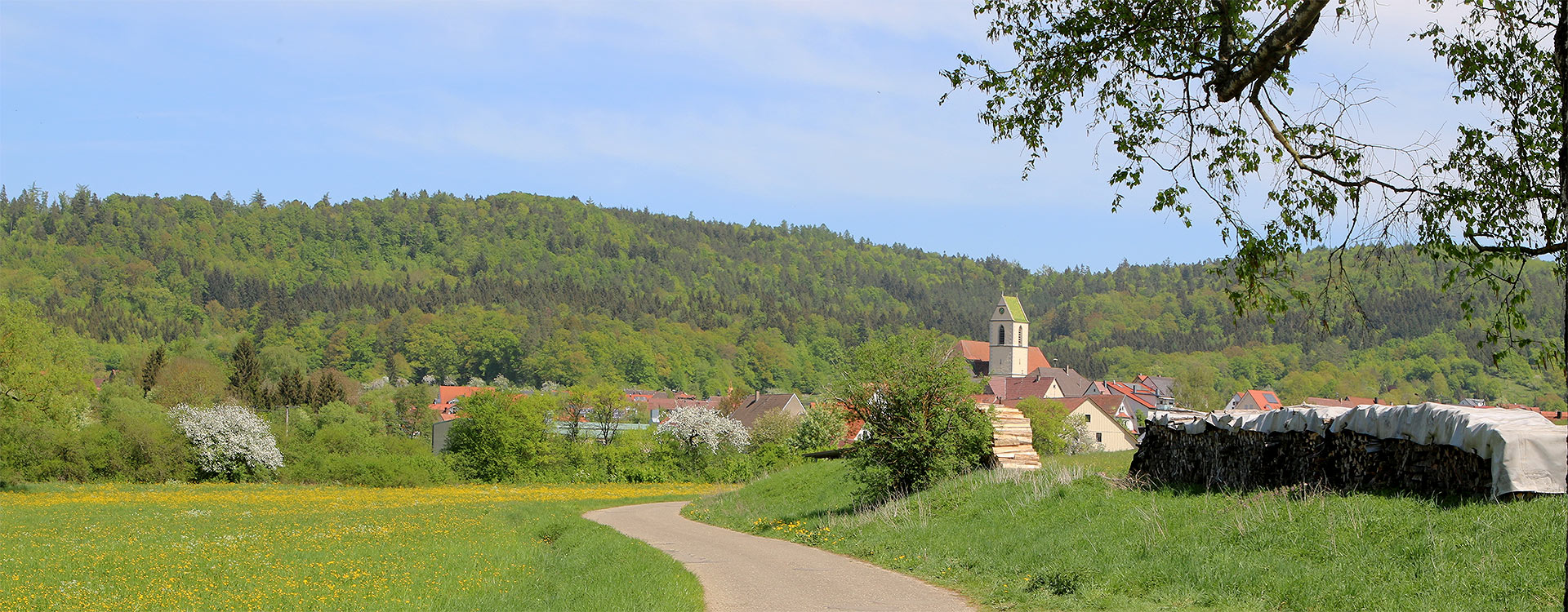 Dettingen vom Gassenweg
